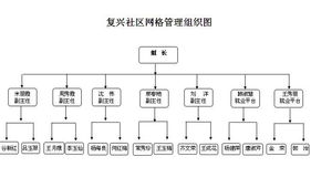 復(fù)興社區(qū)網(wǎng)格管理組織架構(gòu)解析